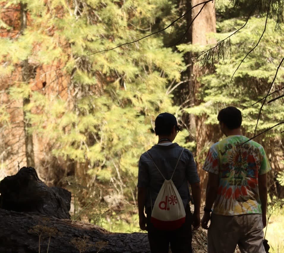 Mateo and Huanxing from behind, on a trail beside a fallen log in a sunlit sequoia forest